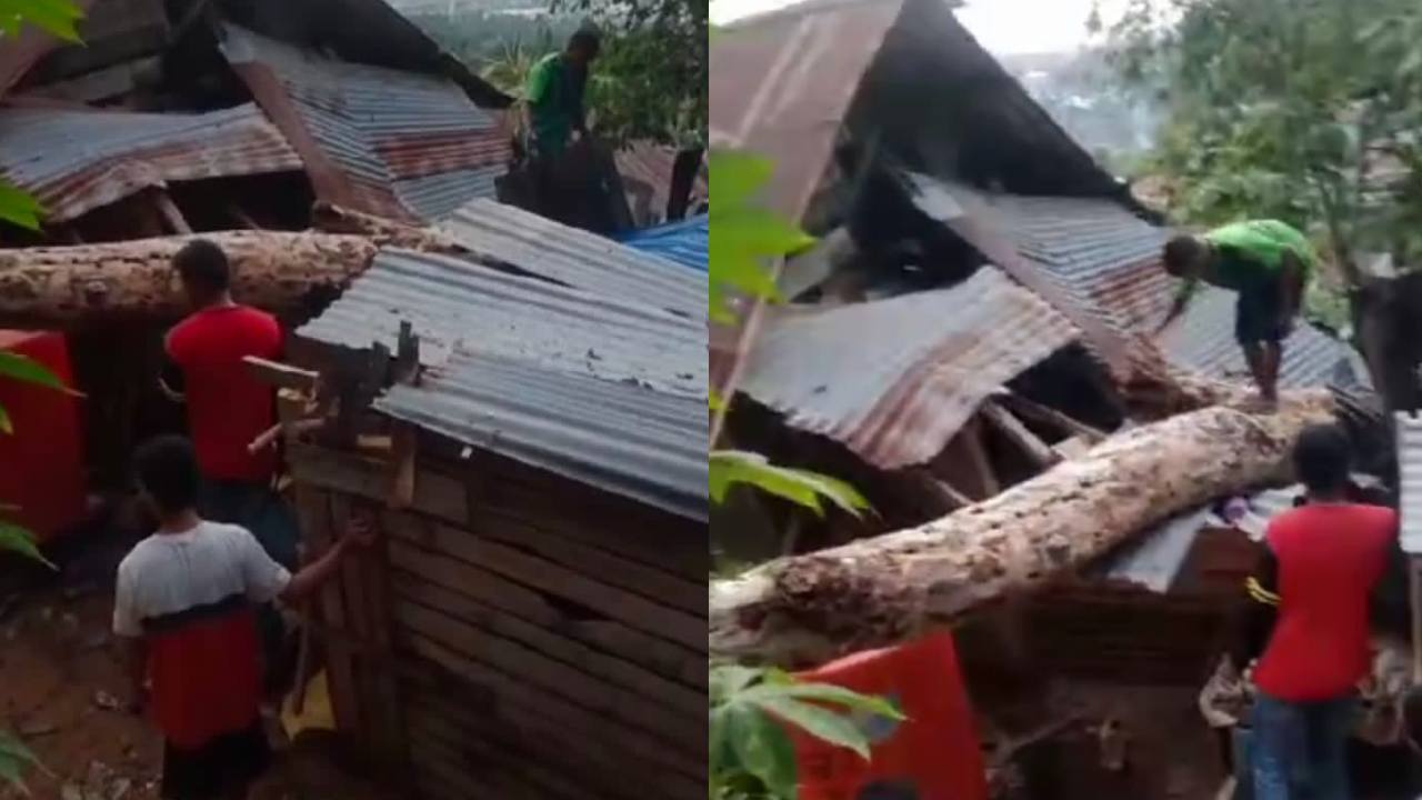 Pohon Tumbang Hancurkan Rumah Warga di Kendari Akibat Angin Kencang Disertai Hujan Lebat