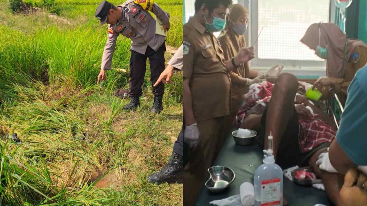 Rebutan Air di Sawah, Petani di Lambandia Kolaka Timur Dibacok