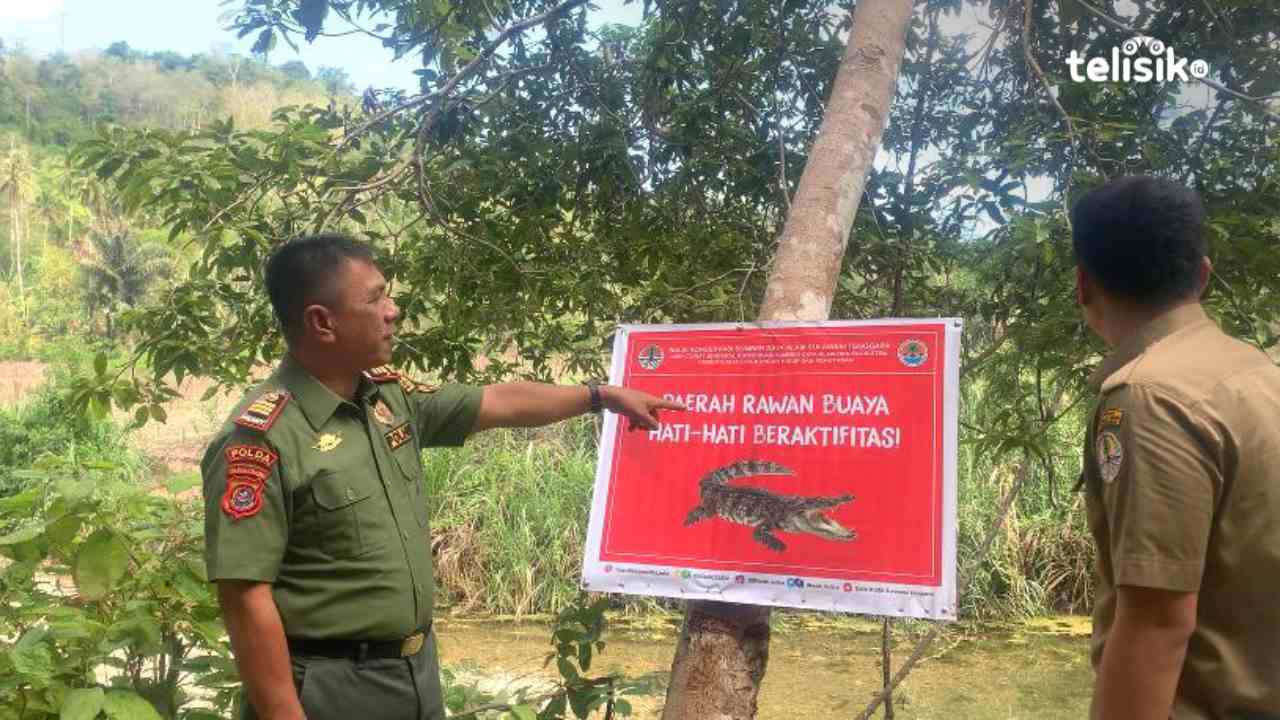 Sejumlah Buaya Muncul Dipermukaan Kali Ambon Resahkan Warga Kota Baubau