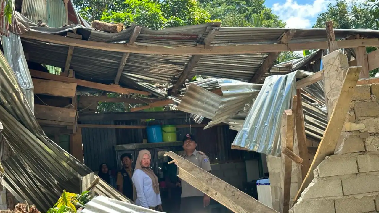 Cuaca Buruk, Warga Muna Barat Diimbau Waspadai Pohon Tumbang