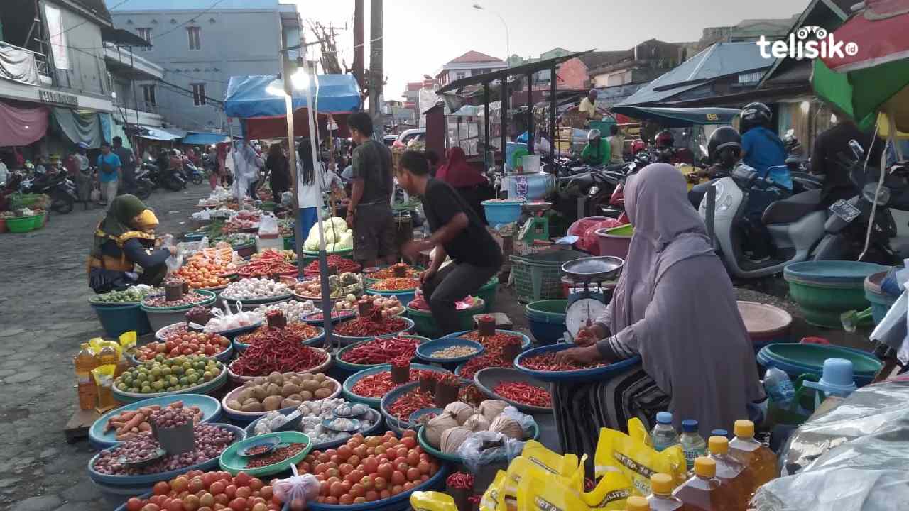 Harga Cabai di Kota Baubau Melonjak Drastis Tembus Rp 450 Ribu per Kg Jelang Nataru