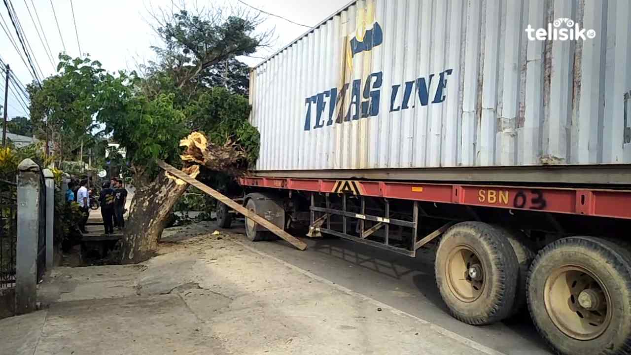 Hindari Pemotor yang Menyalip, Mobil Tronton Tertimpa Pohon di Kota Kendari