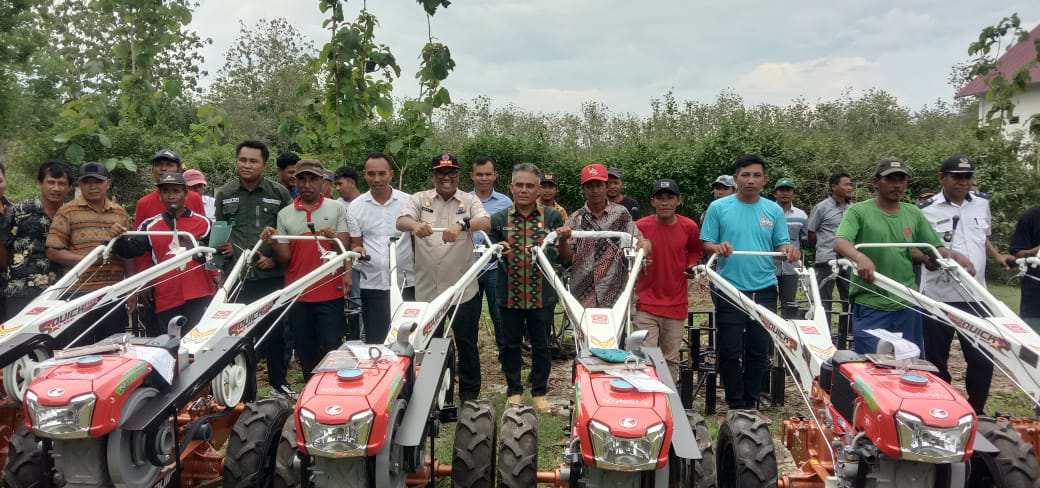 Kerap Keluhkan Hasil Panen, Pemda Muna Barat Bantu Kelompok Tani