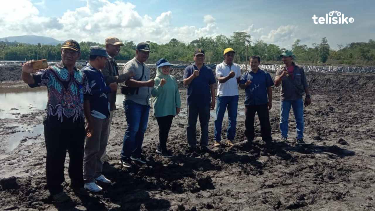 Pembangunan Digenjot, Tambak Udang di Langkoroni Muna Siap jadi Percontohan