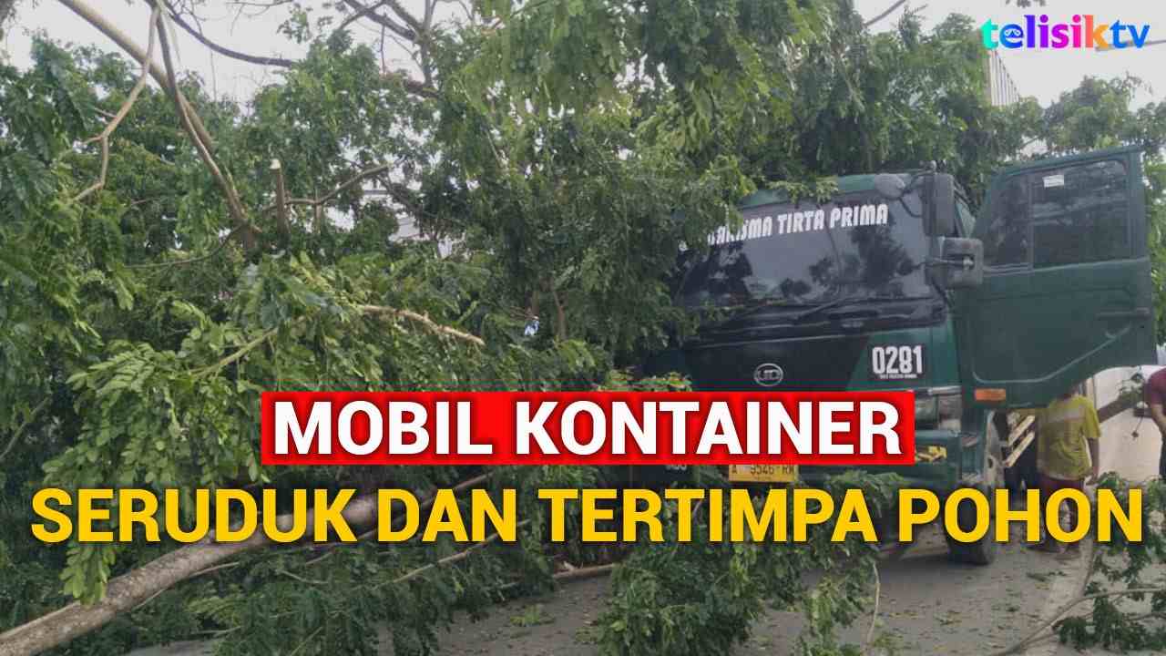 Video: Mobil Kontainer Seruduk dan Tertimpa Pohon