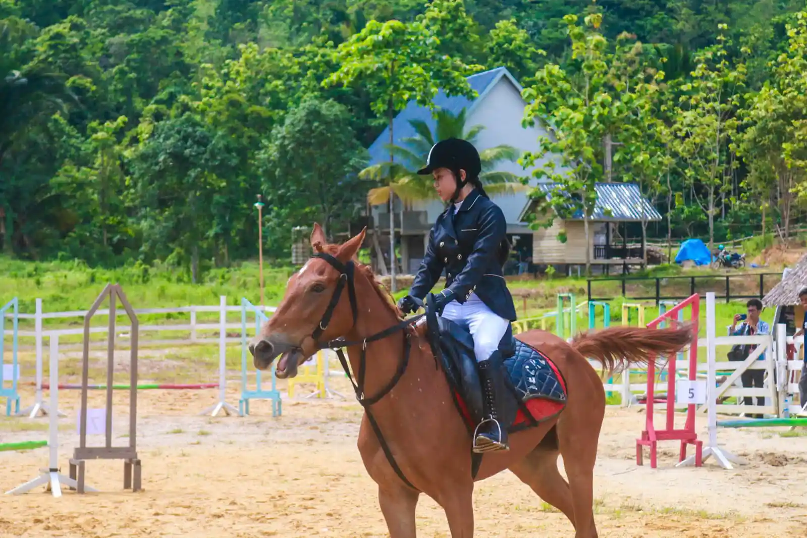Agrowisata Stable Buka Kelas Berkuda dengan Fasilitas Lengkap