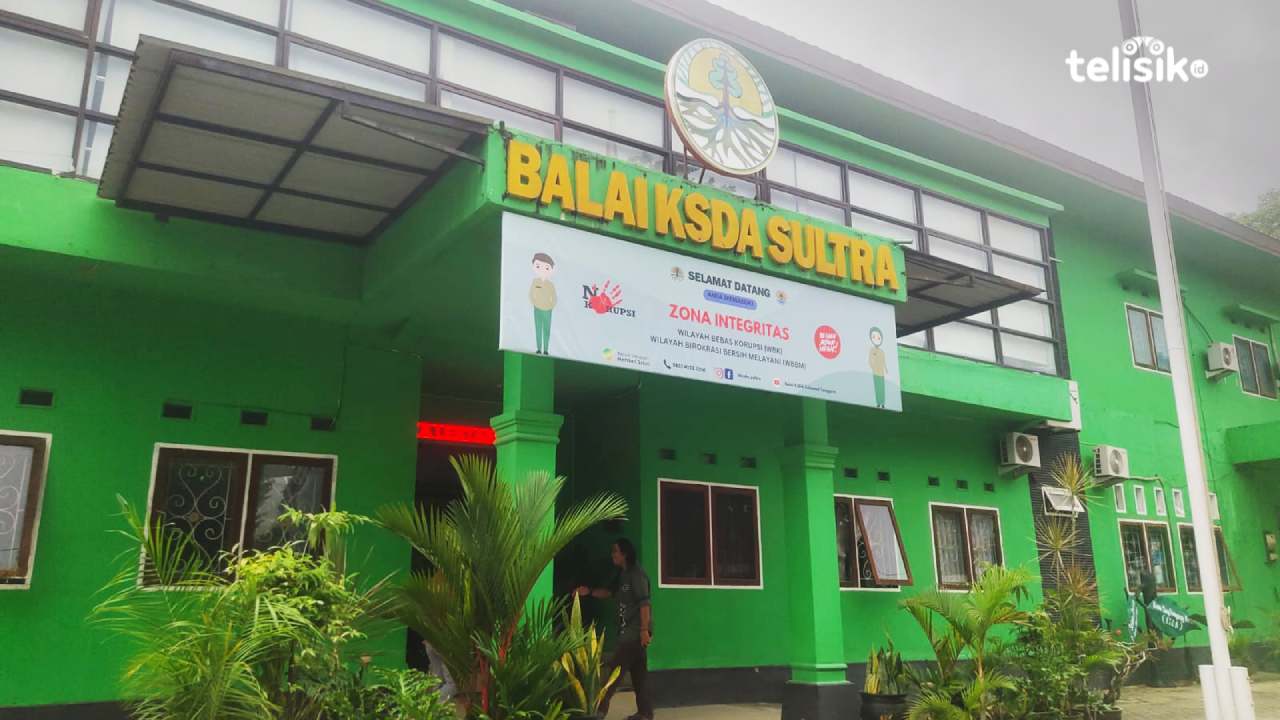 BKSDA Sulawesi Tenggara Sebut Olah Madu Hutan Punya Aturan dan Izin
