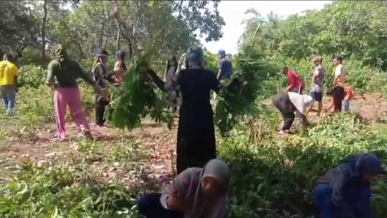 Numpang di Kelas SMP, Universitas Muslim Buton Bakal Dirikan Gedung Baru Tahun Ini