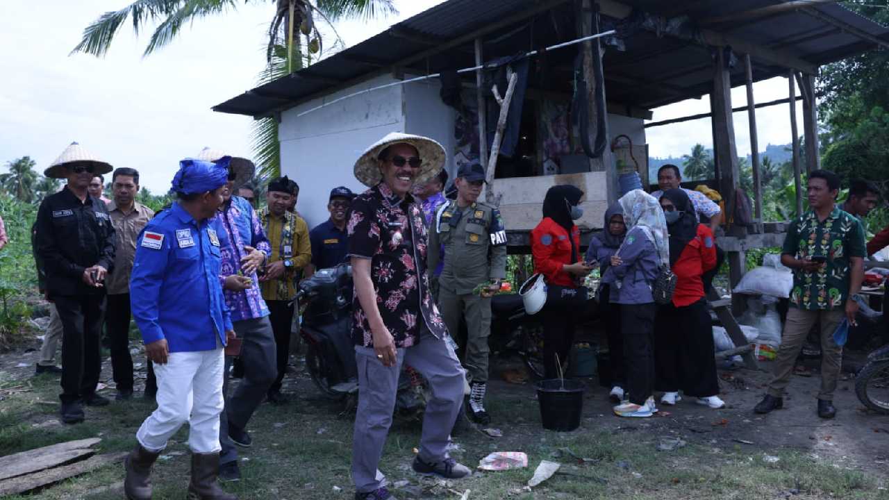 Pemda Bombana Alokasikan Stok Cabai untuk Persiapan Lebaran