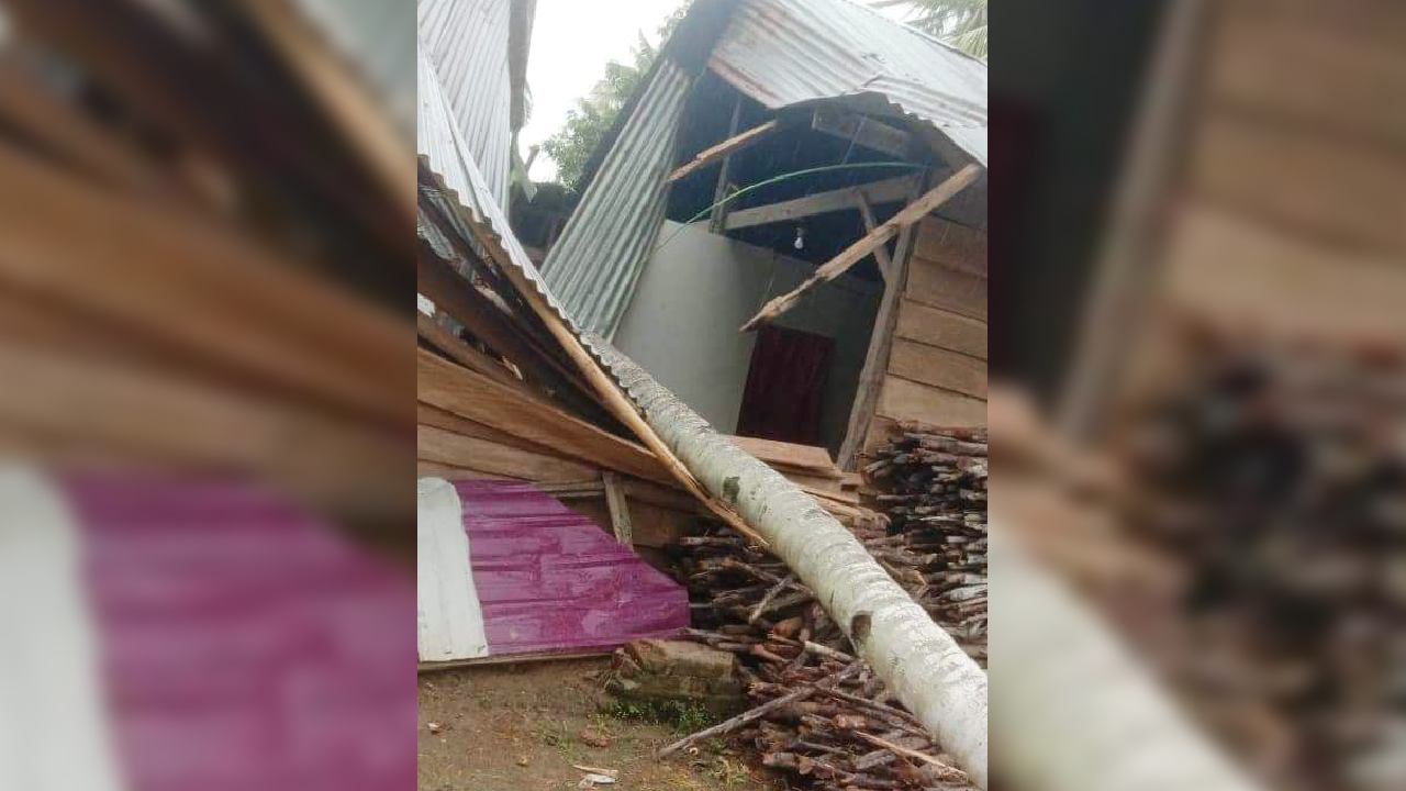Rumah Rusak Tertimpa Pohon Akibat Cuaca Ekstrem di Bombana