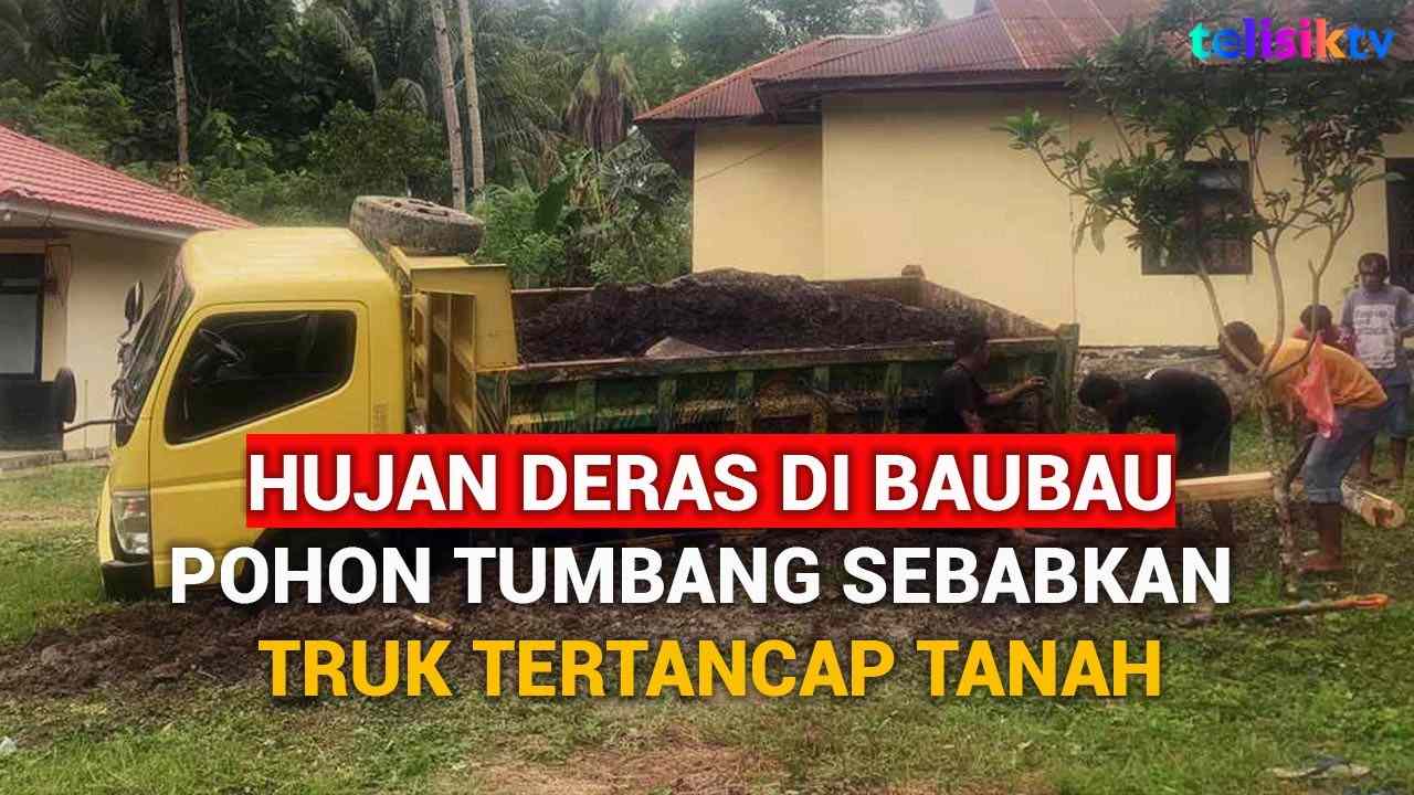 Video: Hujan Deras di Baubau, Pohon Tumbang Sebabkan Mobil Truk Tertancap Tanah