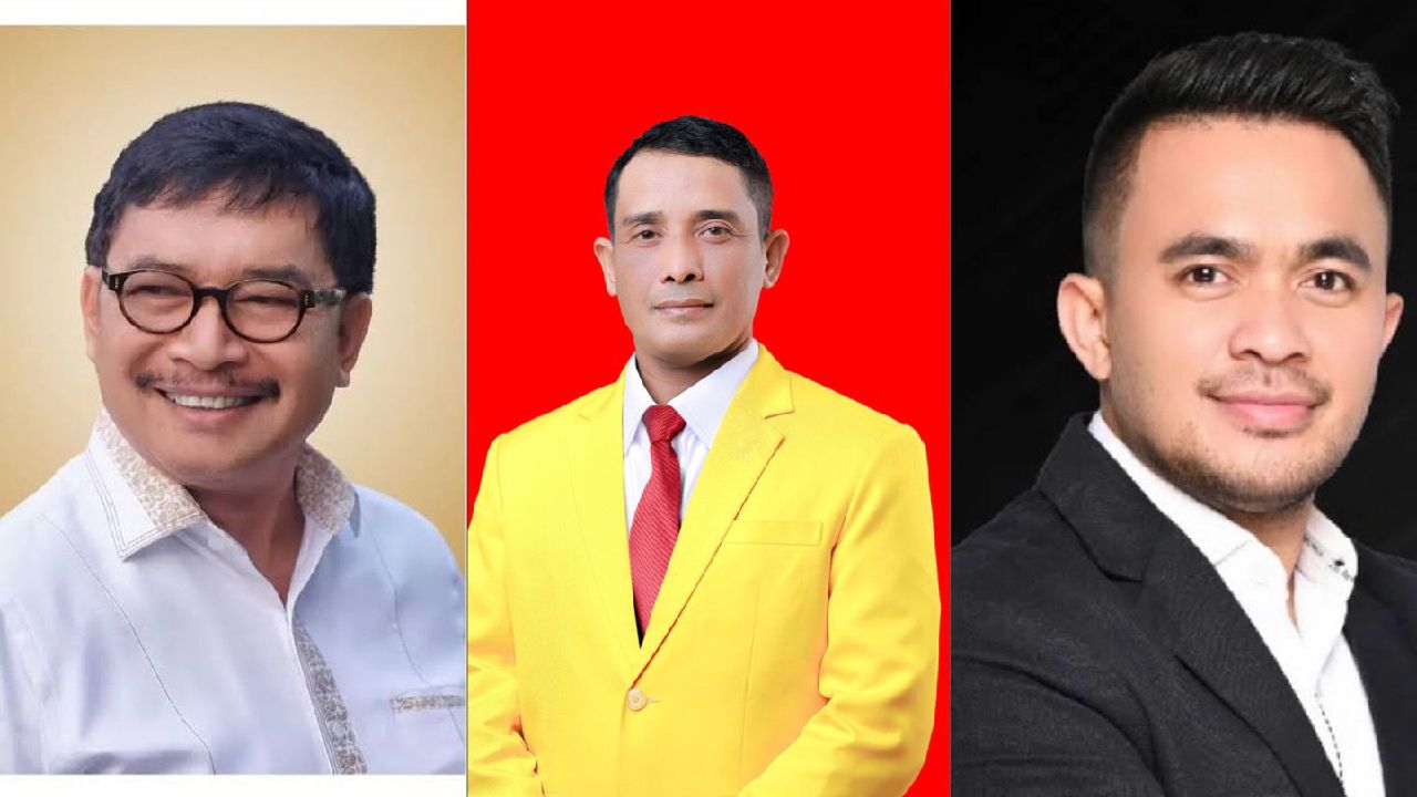 Dewa Putu Putra Seputra Amankan Kursi DPD, Teratas di PSU TPS Wawombalata