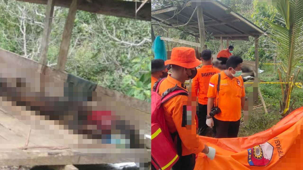 Ditemukan Petani, Ini Kronologis Pria Lansia Membusuk di Hutan Marga Cinta Moramo