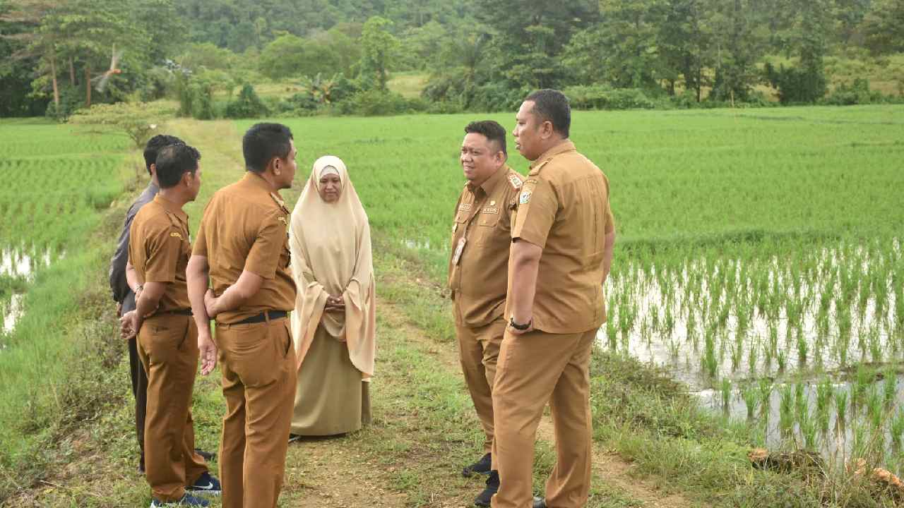 Harga Gabah dan Beras Melonjak Tajam, Petani Dianggap Belum Sejahtera