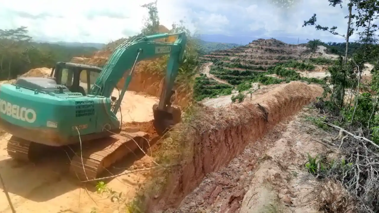 Lahan Transmigrasi Warga Konsel Diduga Diserobot PT Marbaujaya, Lapor Polda, 6 Bulan Penyelidikan Dihentikan