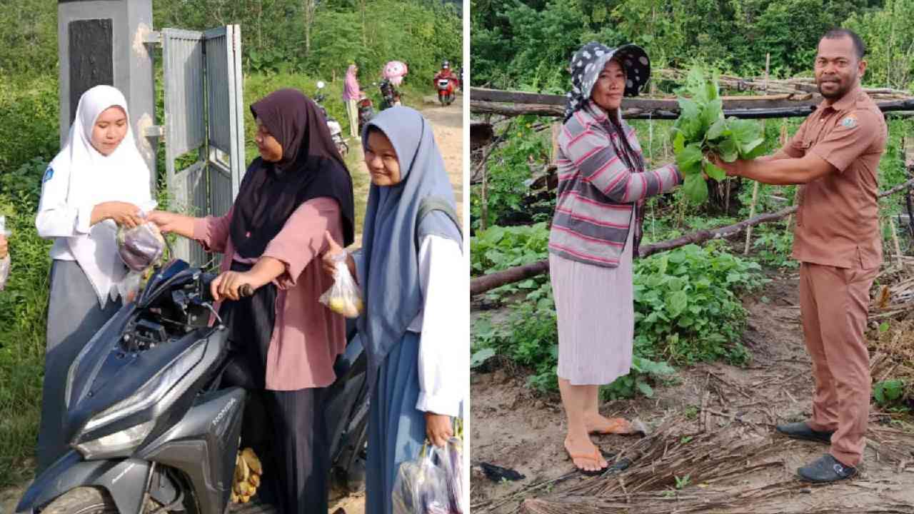 Pelajar SMA 1 Tiworo Tengah Muna Barat Tanam Sayuran, Hasilnya Dibagi ke Masyarakat
