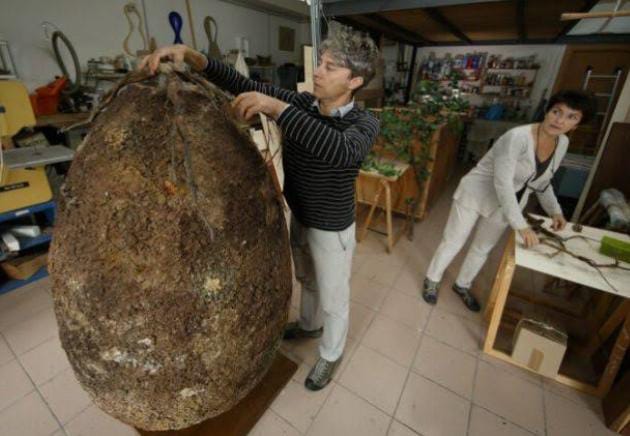 Perusahaan Italia Gagas Konsep Pemakaman Baru, Ubah Mayat Jadi Pohon