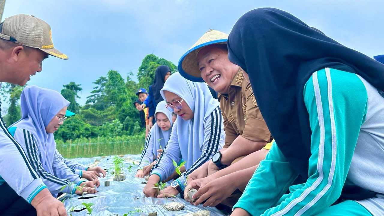 Pj Bupati Konawe Gelar Tanam Cabai Serentak Libatkan Petani dan Pelajar