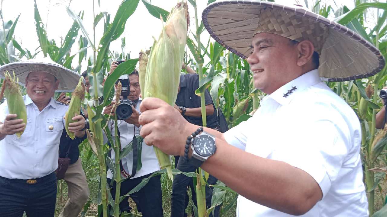 Pj Gubernur Sulawesi Tenggara Bersama Bupati Konawe Hadiri Panen Raya Hortikultura