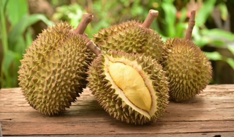 Waspada, Ini Bahaya Konsumsi Durian Secara Berlebihan