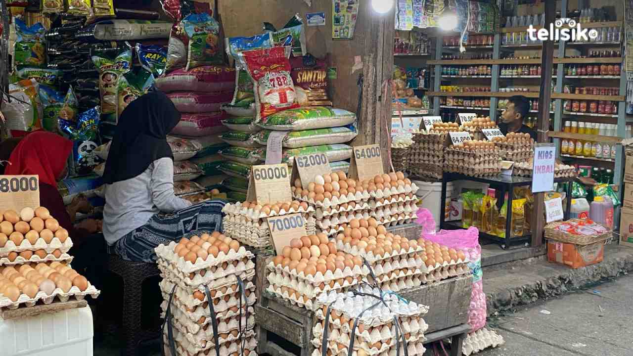Harga Telur di Baubau Tembus Rp 70 Ribu Per Rak