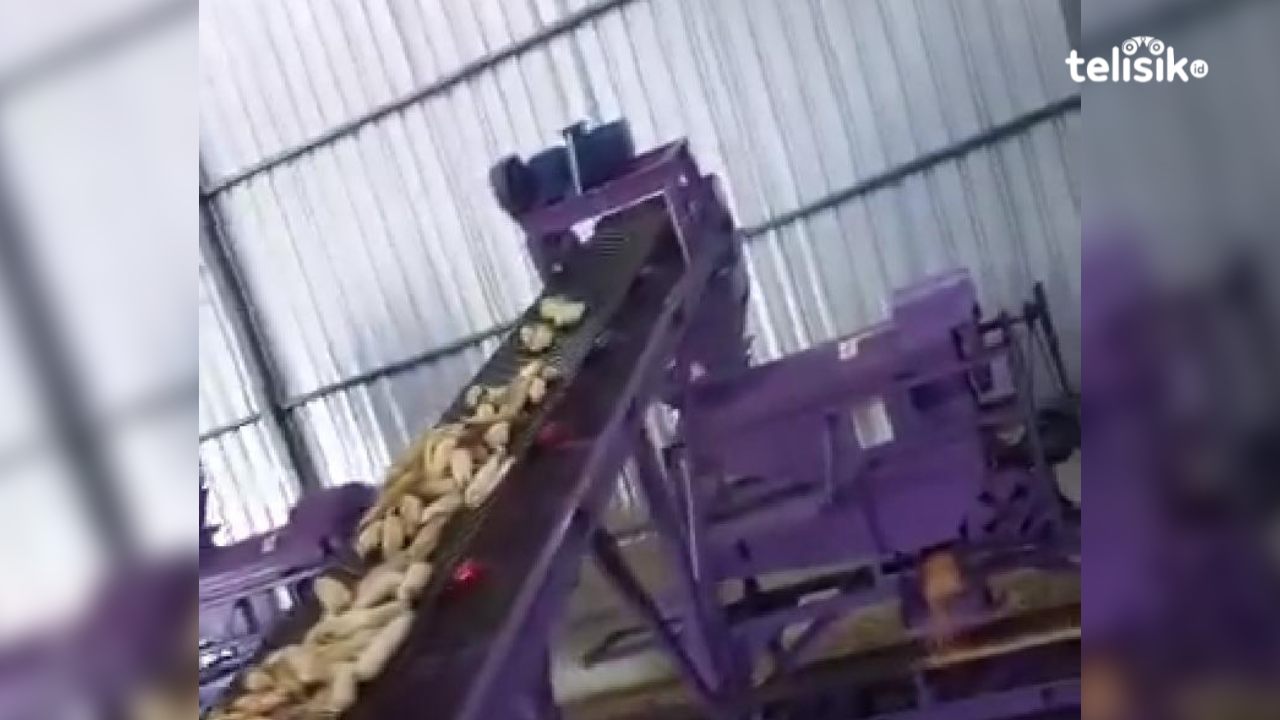 Kapolres Dukung Program Jagung, Kajari Muna Ingin Lihat Pabriknya