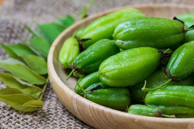 Manfaat Belimbing Wuluh Bagi Kesehatan