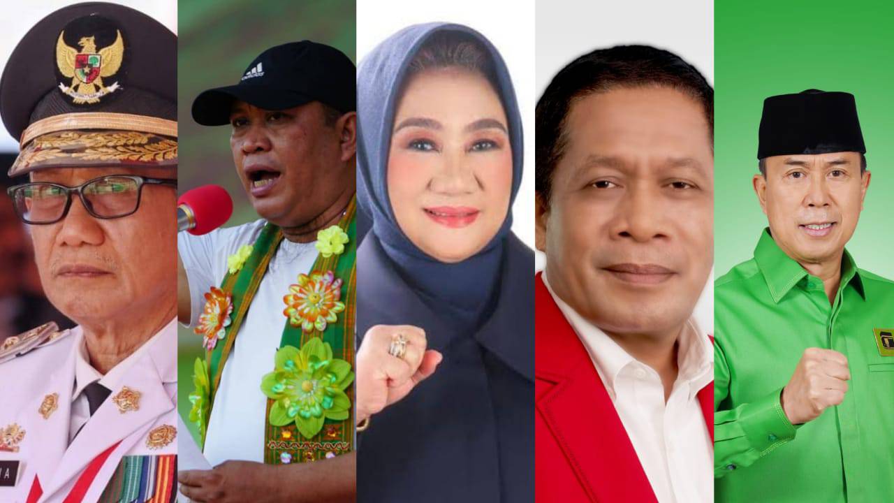 Menakar Peluang Bacagub Sulawesi Tenggara 2024