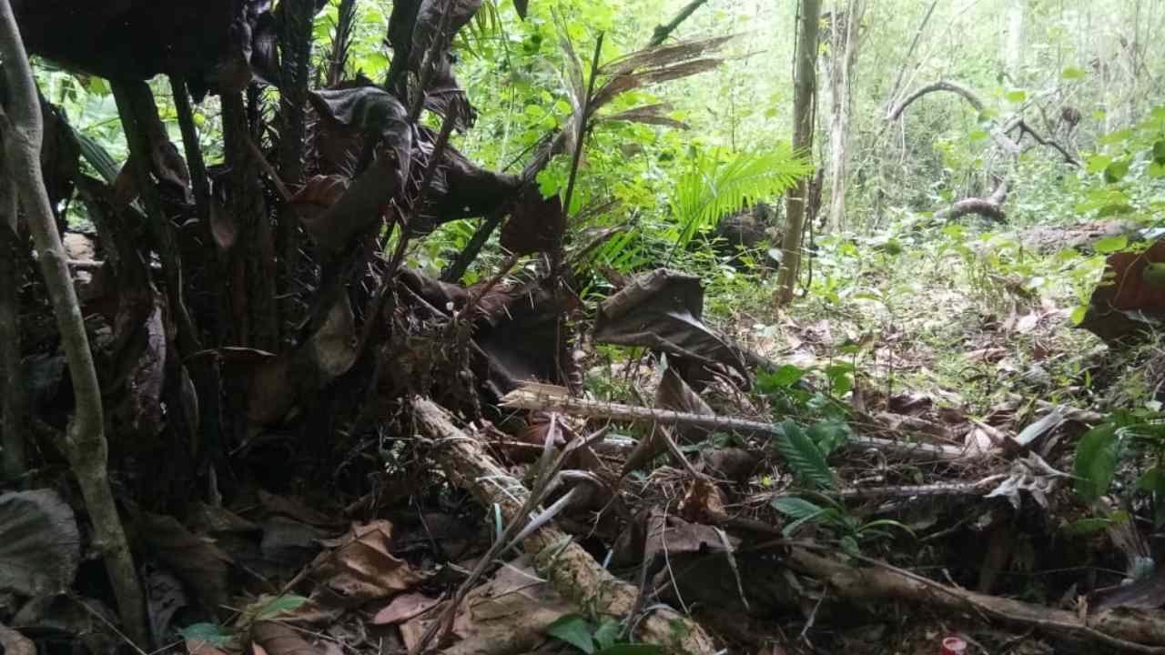 Tanah Warga Kendari Alami Sengketa, Ini Respon Ketua RT dan Lurah