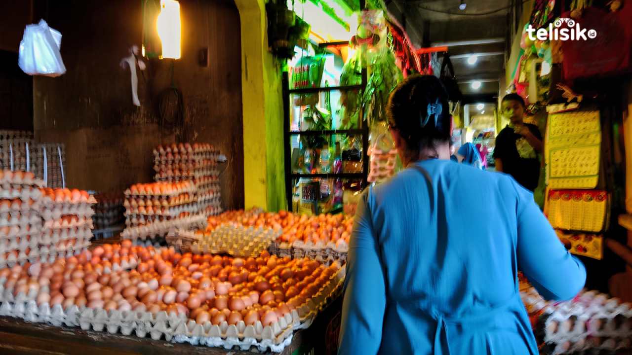 Tidak Hanya Beras, Harga Telur di Kendari Makin Ganas
