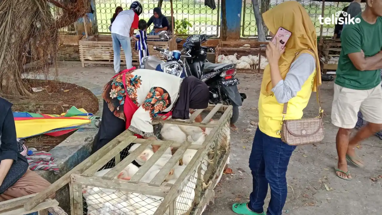 Harga Ayam Potong di Wakatobi Meningkat, Tetap Diserbu Pembeli