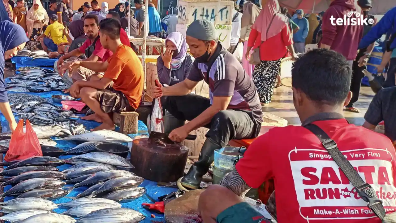 Harga Ikan di Tempat Pelelangan Ikan Kendari Masih Mahal