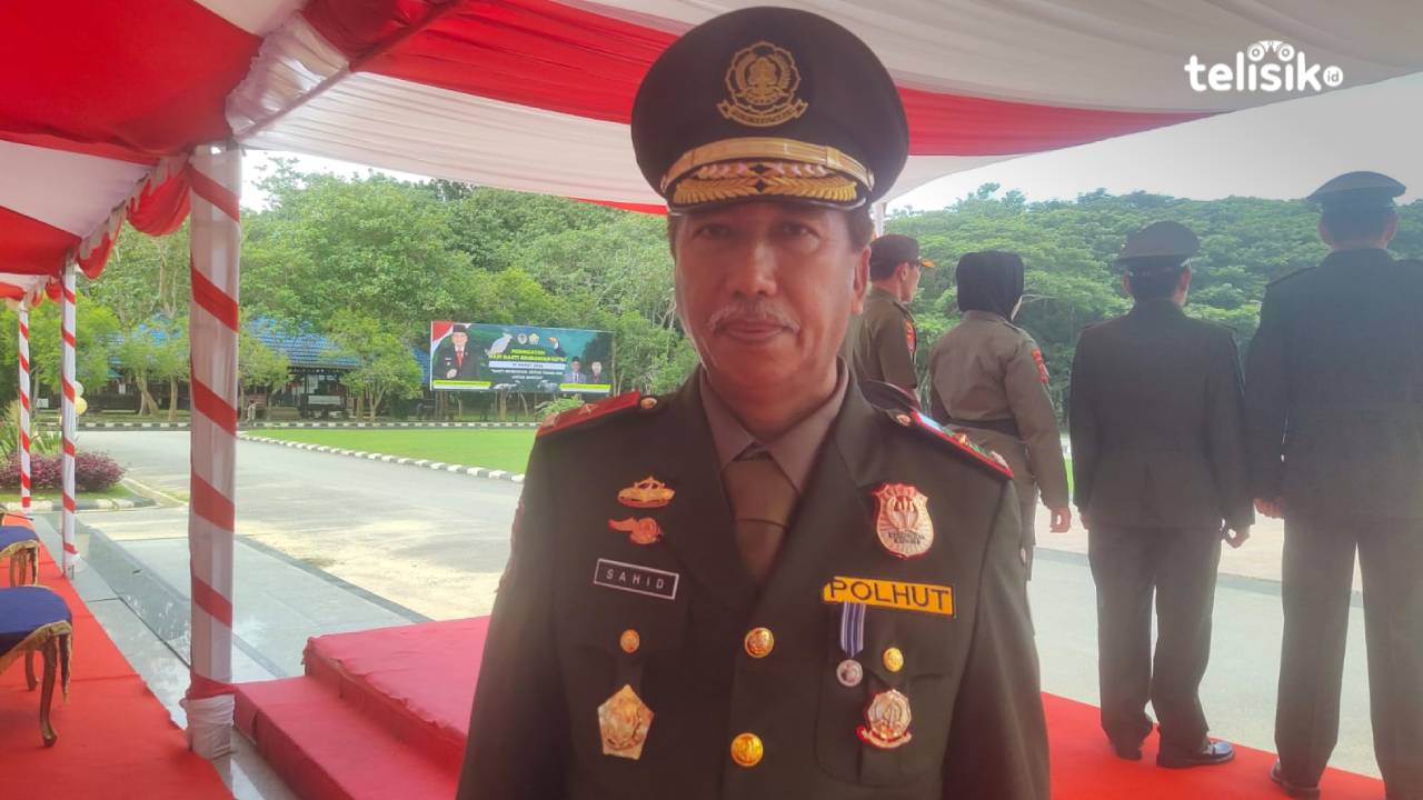 Ingin Rehabilitasi Lahan, Masyarakat Bisa Ajukan Proposal di Dishut Sulawesi Tenggara, Ini Syaratnya