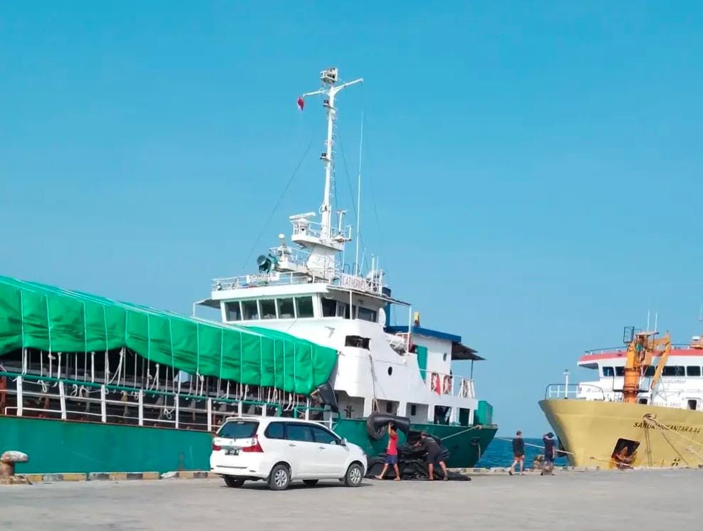 Jadwal dan Rute KM Sabuk Nusantara 44 Periode April 2024 di Provinsi Sulawesi Tenggara