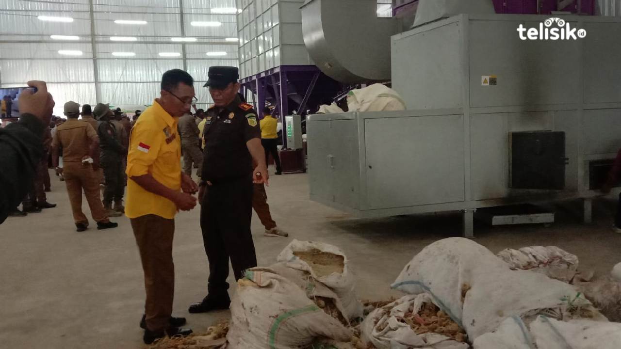 Kejari Muna Usut Dugaan Korupsi Pengembangan Jagung