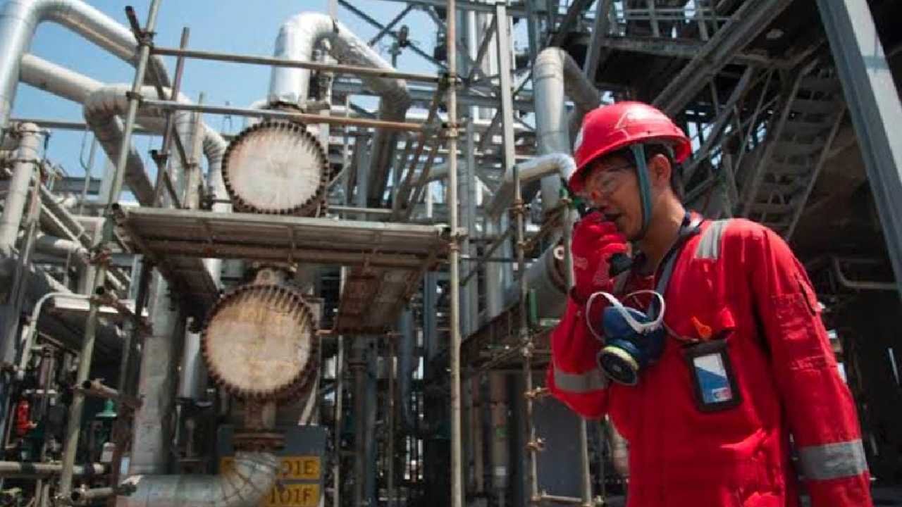 PT TMMS Buka Rekrutmen untuk Posisi Ini, Berikut Kualifikasinya