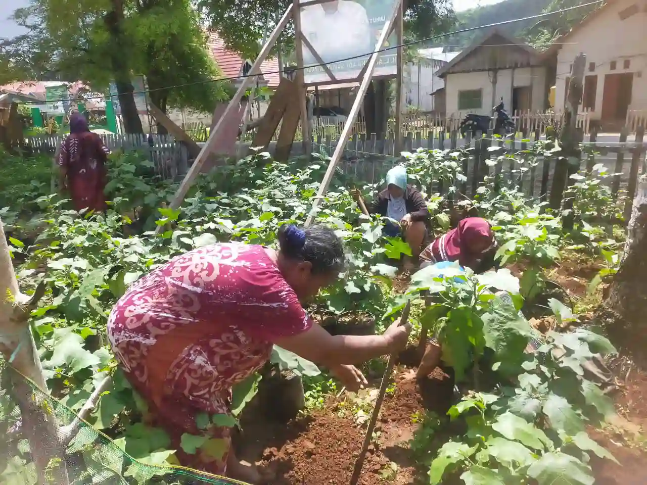 DAK Non Fisik DTPHP Muna Rp 500 Juta Dukung Program Pencegahan Stunting