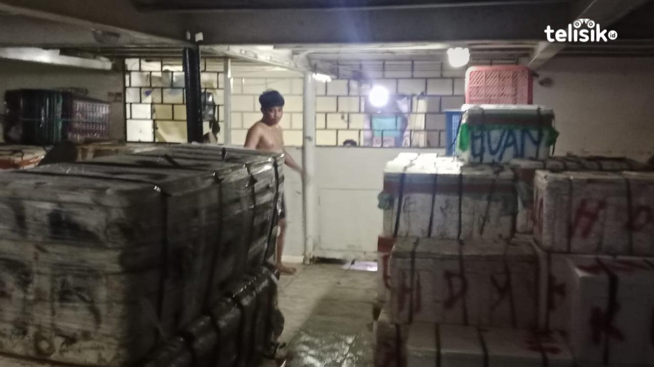 Harga Penitipan Barang Pengiriman Kendari-Wanci: Detail dan Tarif Muat Angkut