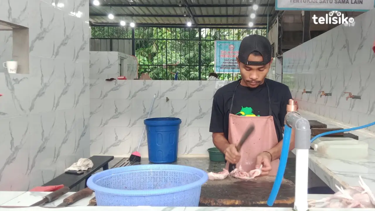 Ini Dia Rumah Potong Ayam di Kota Kendari Sudah Miliki Sertifikat Halal dari MUI