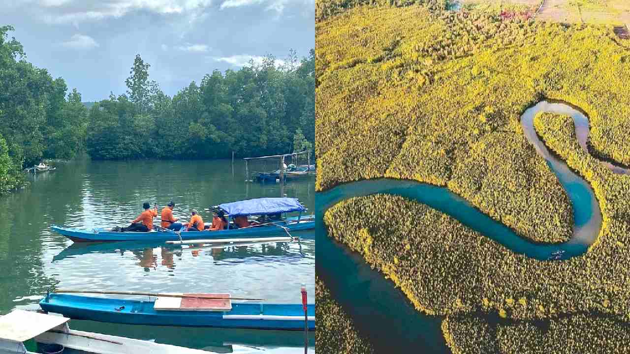Muara Lakologou Baubau, Destinasi Wisata Memikat Mirip Sungai Amazon