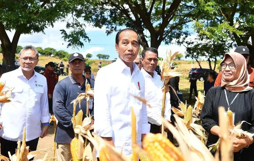 Presiden Jokowi Dikabarkan Akan ke Sulawesi Tenggara Resmikan Proyek Strategis di Empat Daerah