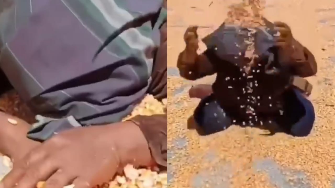 Tangis Histeris Wanita Paruh Baya Berguling di Atas Hamparan Biji Jagung, Petani: Dimana Aku Mengadu Ini