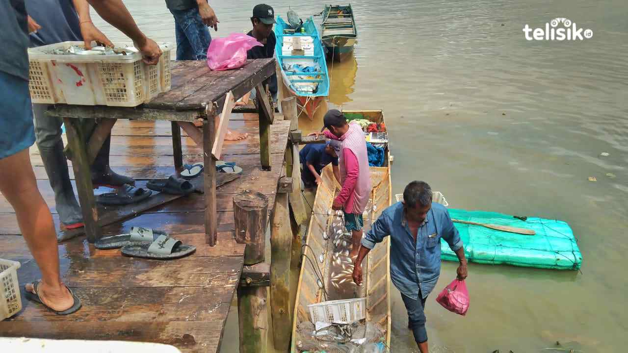 Hasil Tangkapan Ikan Nelayan di Kendari Melimpah