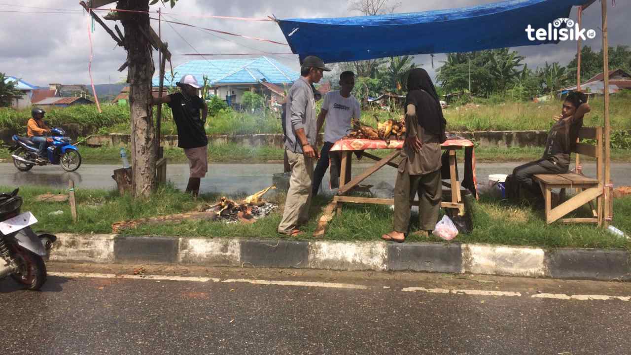 Jasa Cabut Bulu Ayam di Kendari Raup Untung Saat Idul Adha