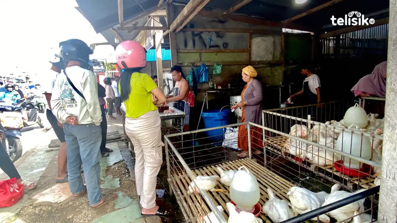 Jelang Idul Adha Harga Daging Ayam di Baubau Alami Kenaikan, Daging Sapi Stabil