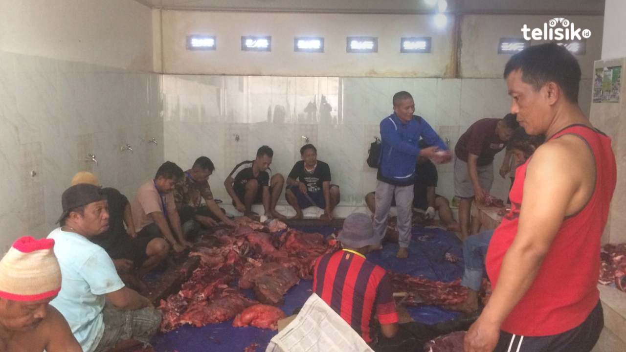 Masjid Raya Al-Kautsar Kurban 13 Ekor Sapi untuk Jemaah dan Warga Kendari