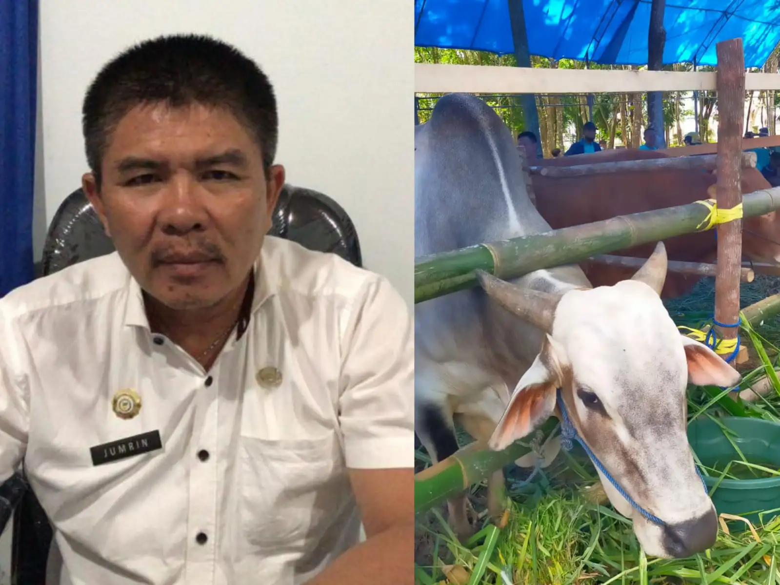 Pemda Konawe Pastikan Ketersediaan Hewan Kurban Aman