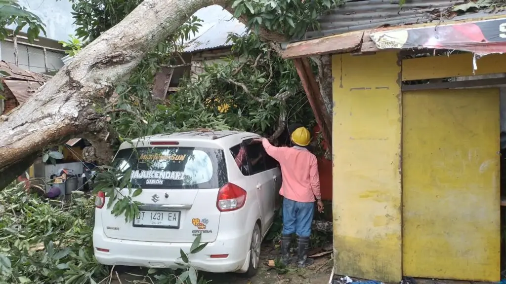 Pemkot Kendari Gerak Cepat Menata Kota Usai Insiden Pohon Tumbang