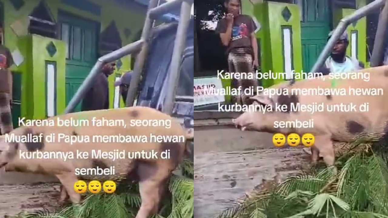 Seorang Ustaz Dibuat Garuk Kepala, Mualaf Datang ke Masjid dengan Hewan Kurban Ini