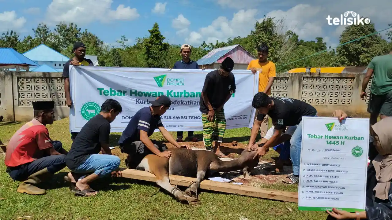Unik, Tim Dompet Dhuafa Berbagi Hewan Kurban di Muna Barat Gunakan Daun Jati